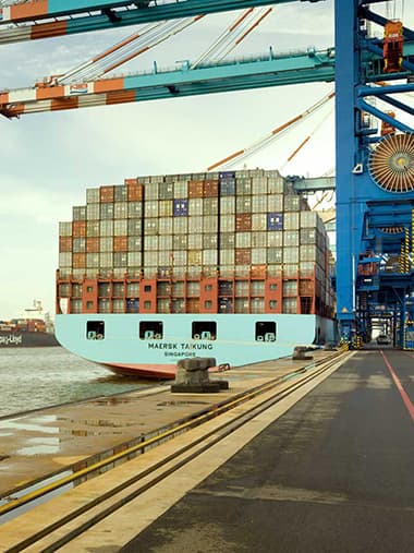 https://backend.halepathpackaging.co.uk/wp-content/uploads/2026/03/Logistics-Solutions-1.jpg